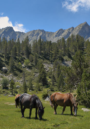 Жить в Sant Julià de Lòria Андорра