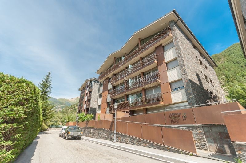 Exclusif appartement à vendre avec vues à la montagne agence immobilière à l'Aldosa de la Massana, Andorre